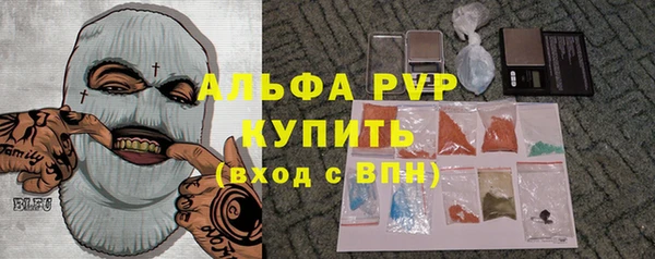 индика Алексин