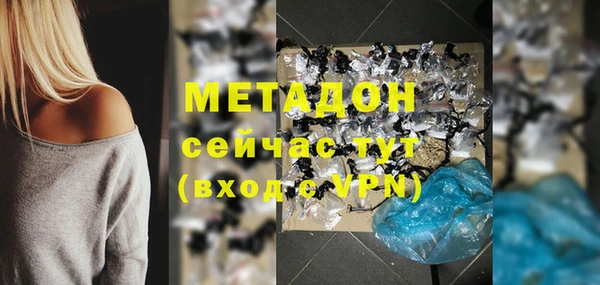 индика Алексин