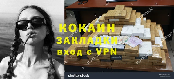 индика Алексин