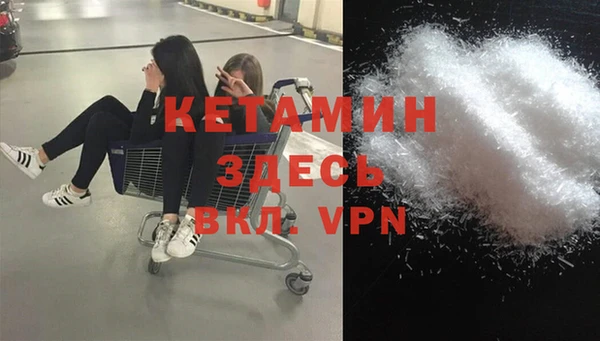индика Алексин