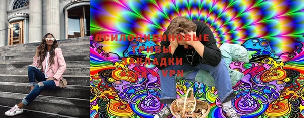 индика Алексин