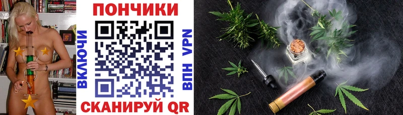 Бошки марихуана THC 21%  ссылка на мегу ONION  Пошехонье 